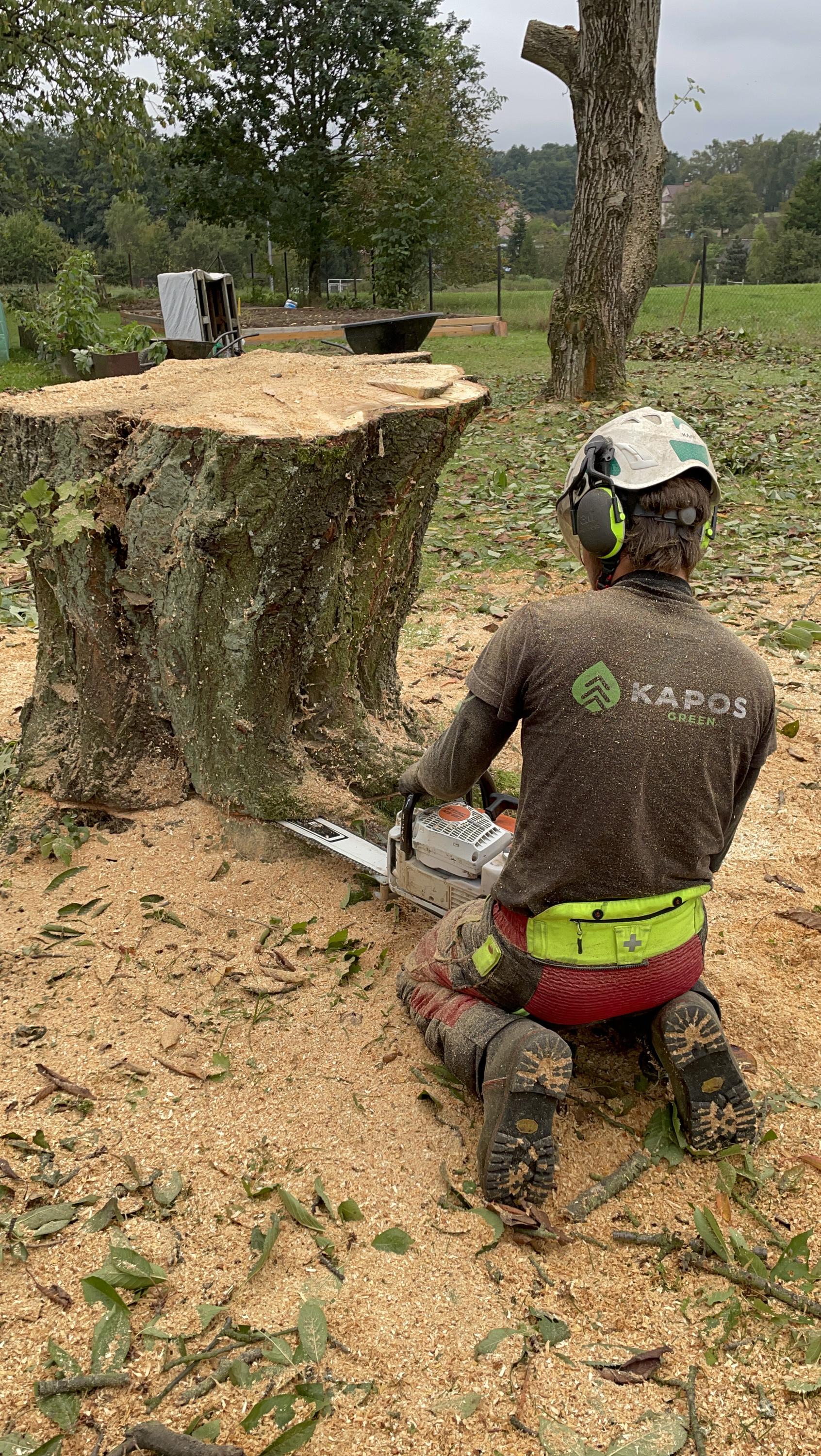 KaposGreen foto 4