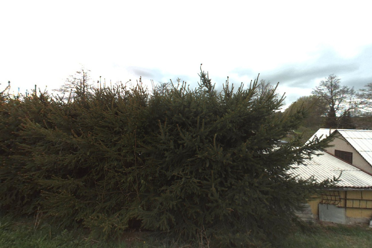 SLÁMA - NÁPOJE s.r.o.