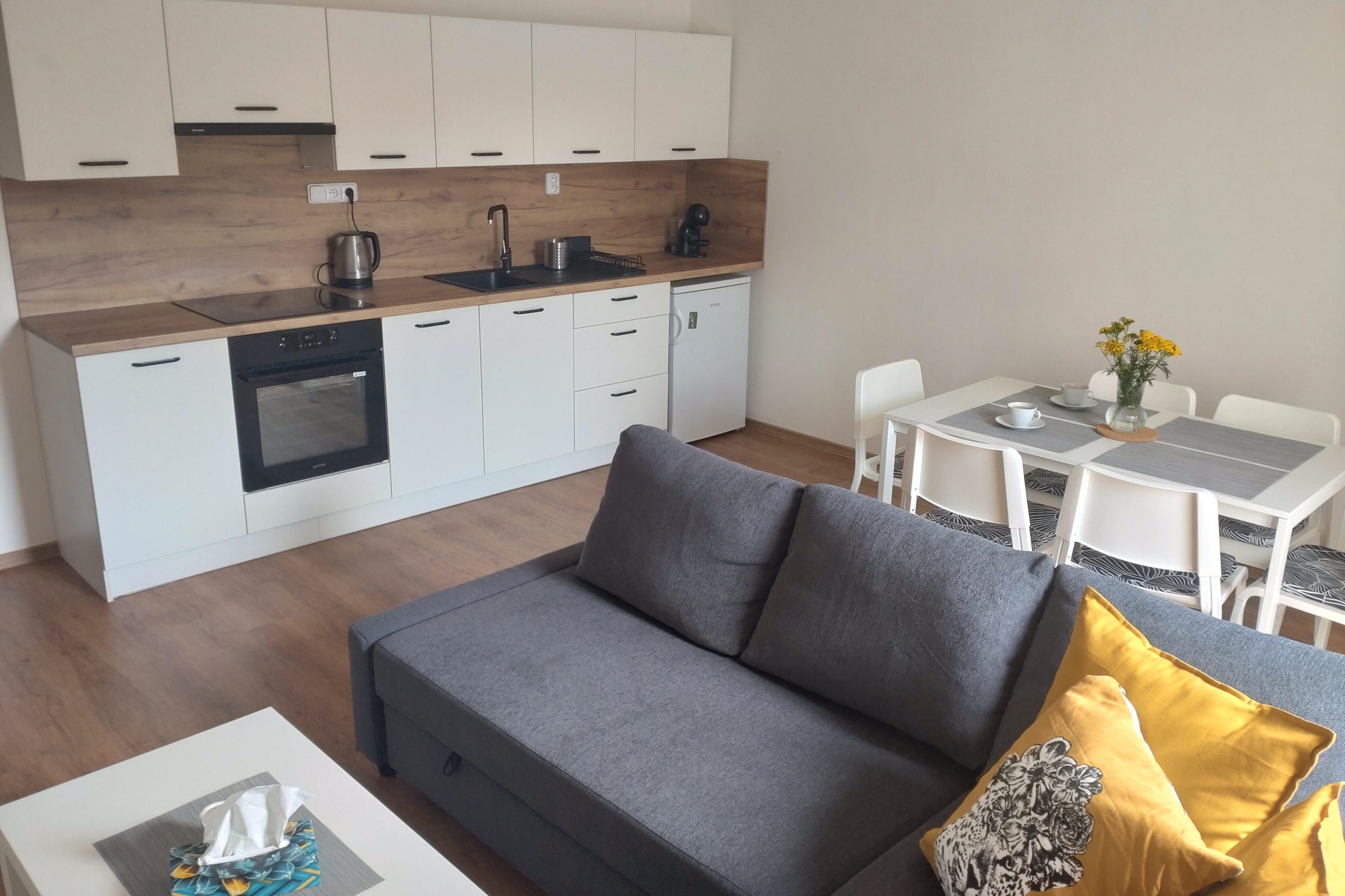 Apartmán Karlovice - Jeseníky