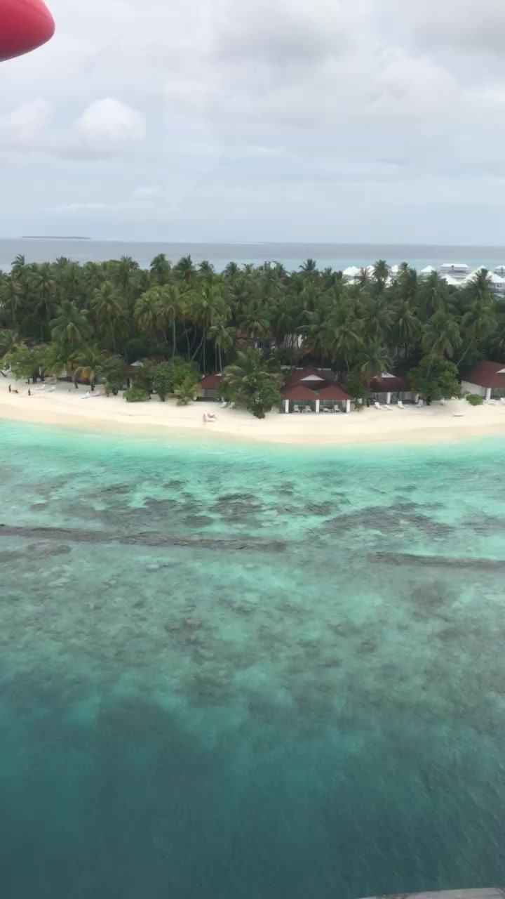 Alena Francová - Cestovní agentura Palma foto 2 (náhled videa)