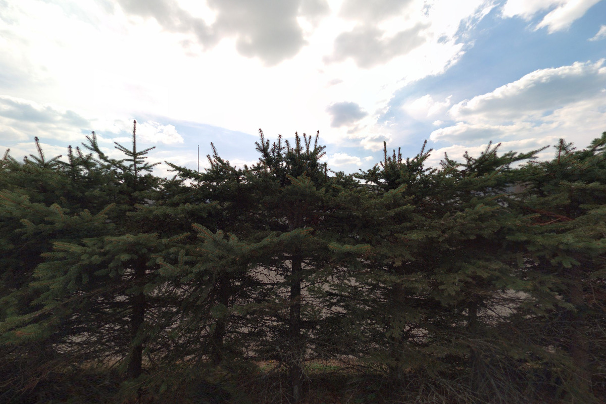 Amenity Food Truck foto 5