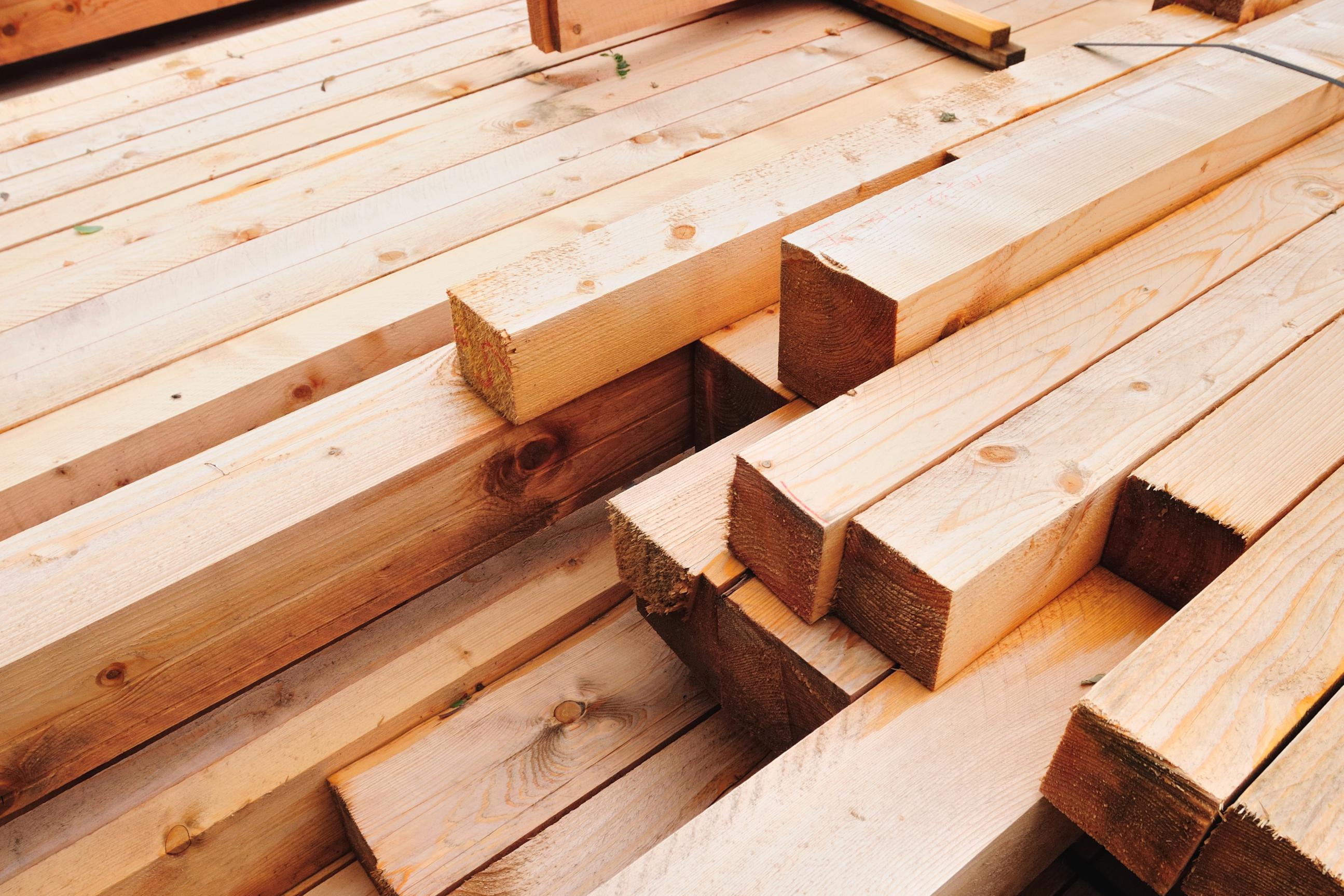 Karel Langer - Pila Liberk