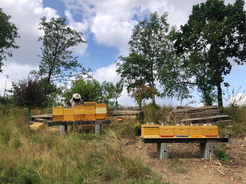 Včelařství Zákraví foto 2