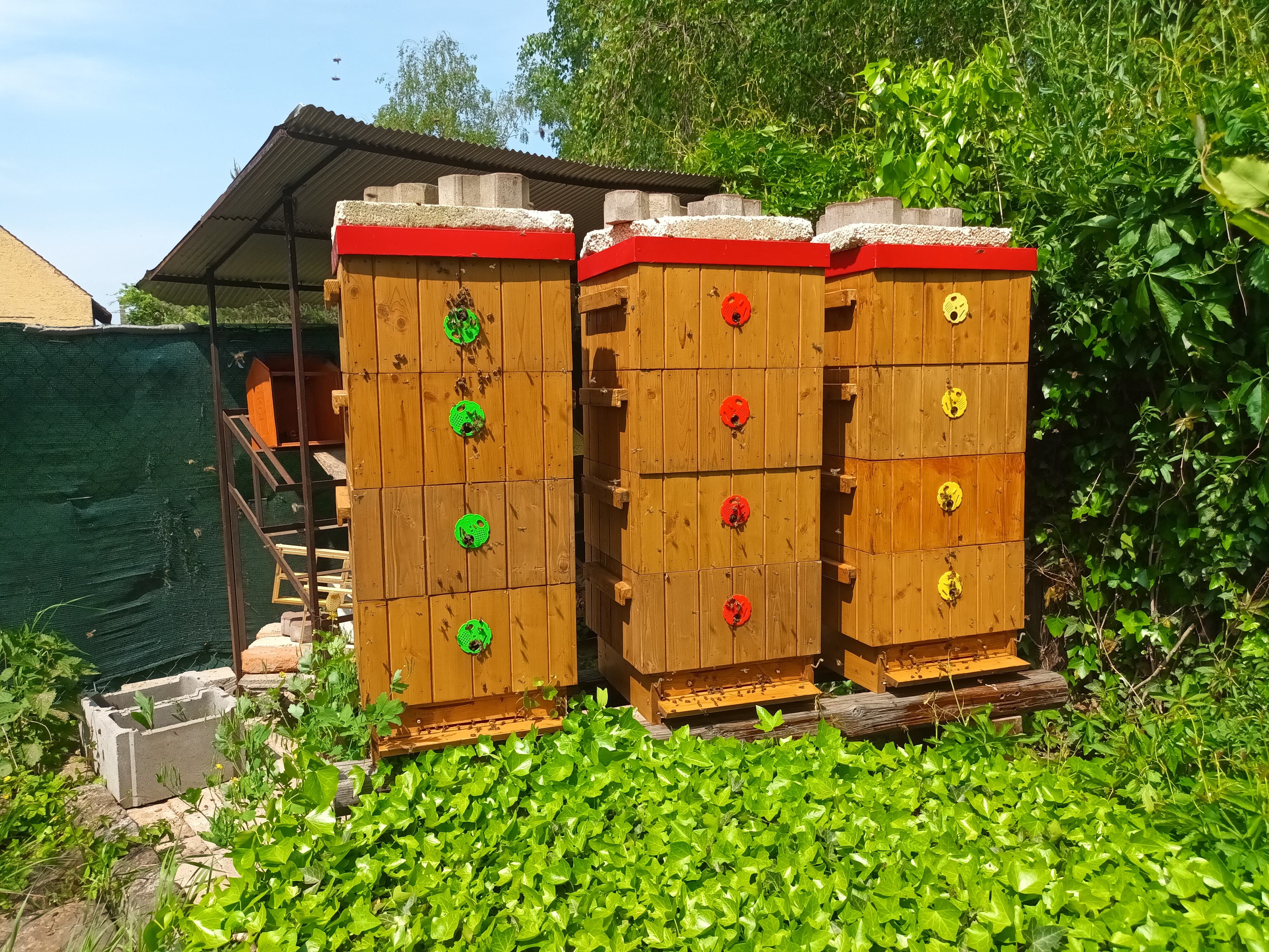 Včelařství Ječný