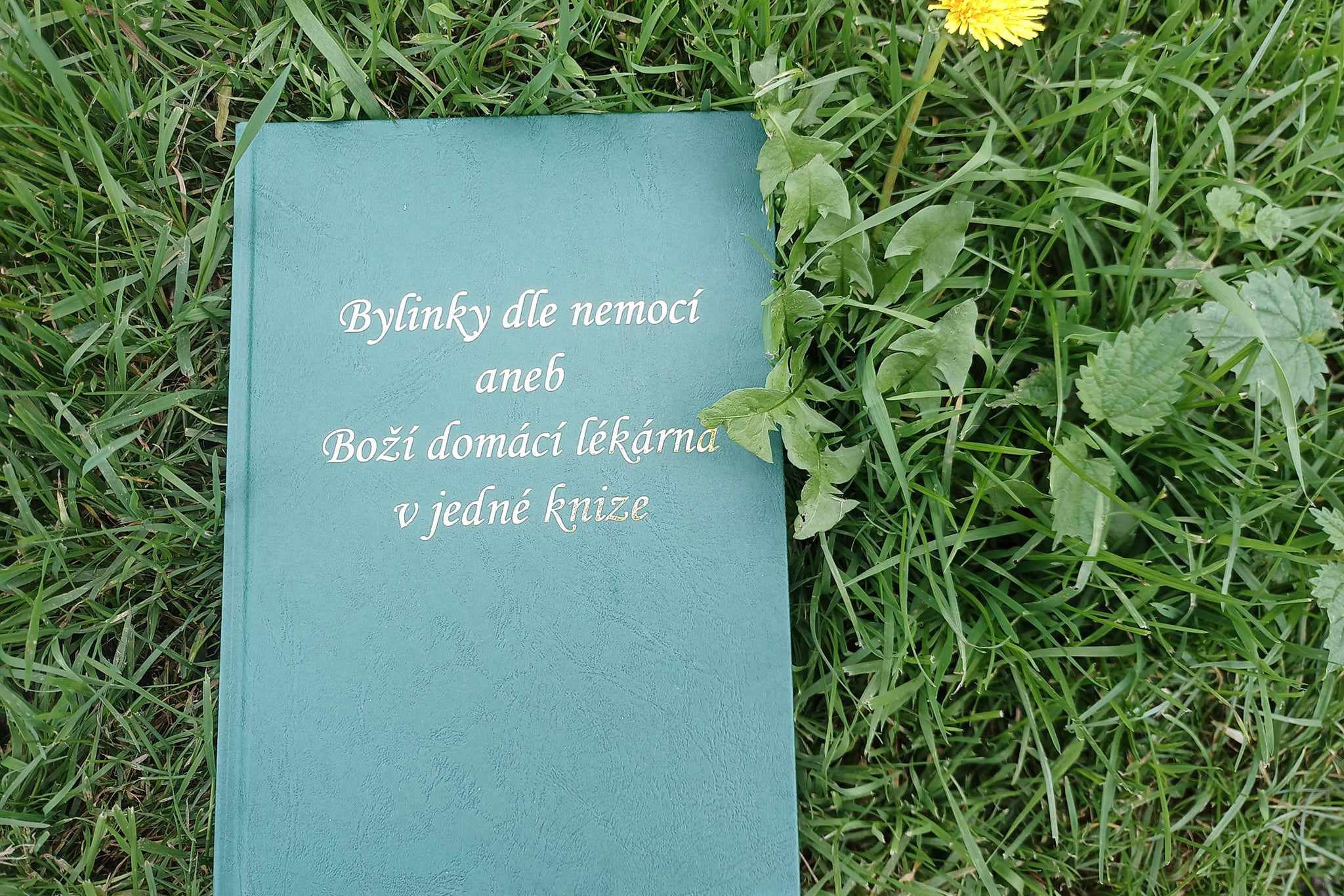 Bylinky dle nemocí