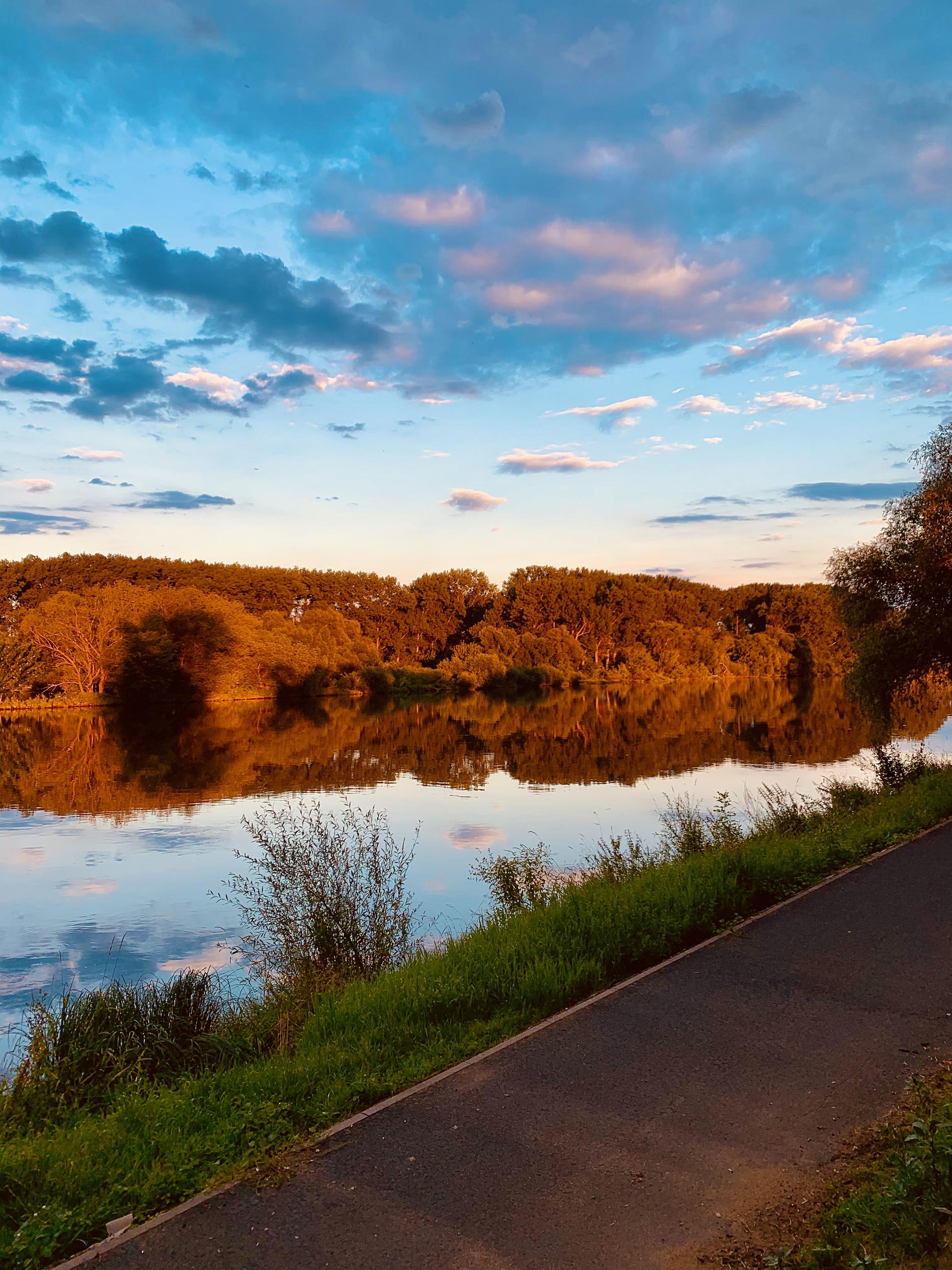 Tropicana Bar foto 2