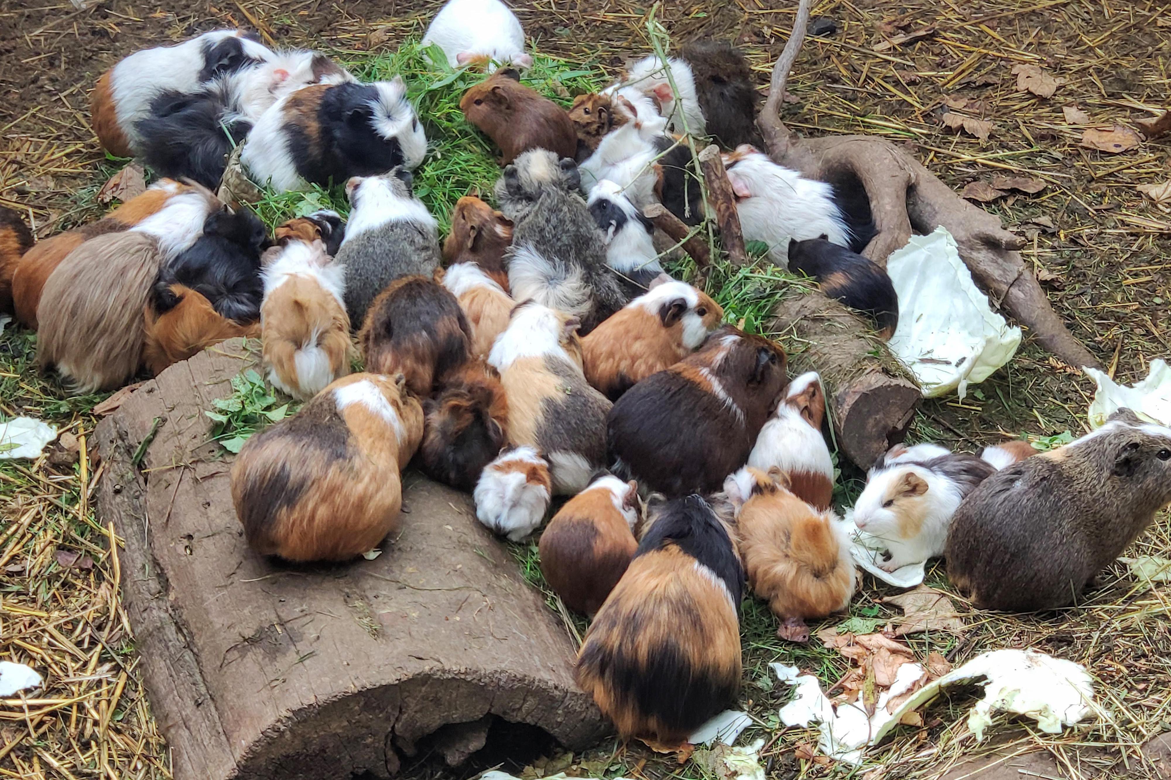 Teraklub Žďár nad Sázavou z.s.