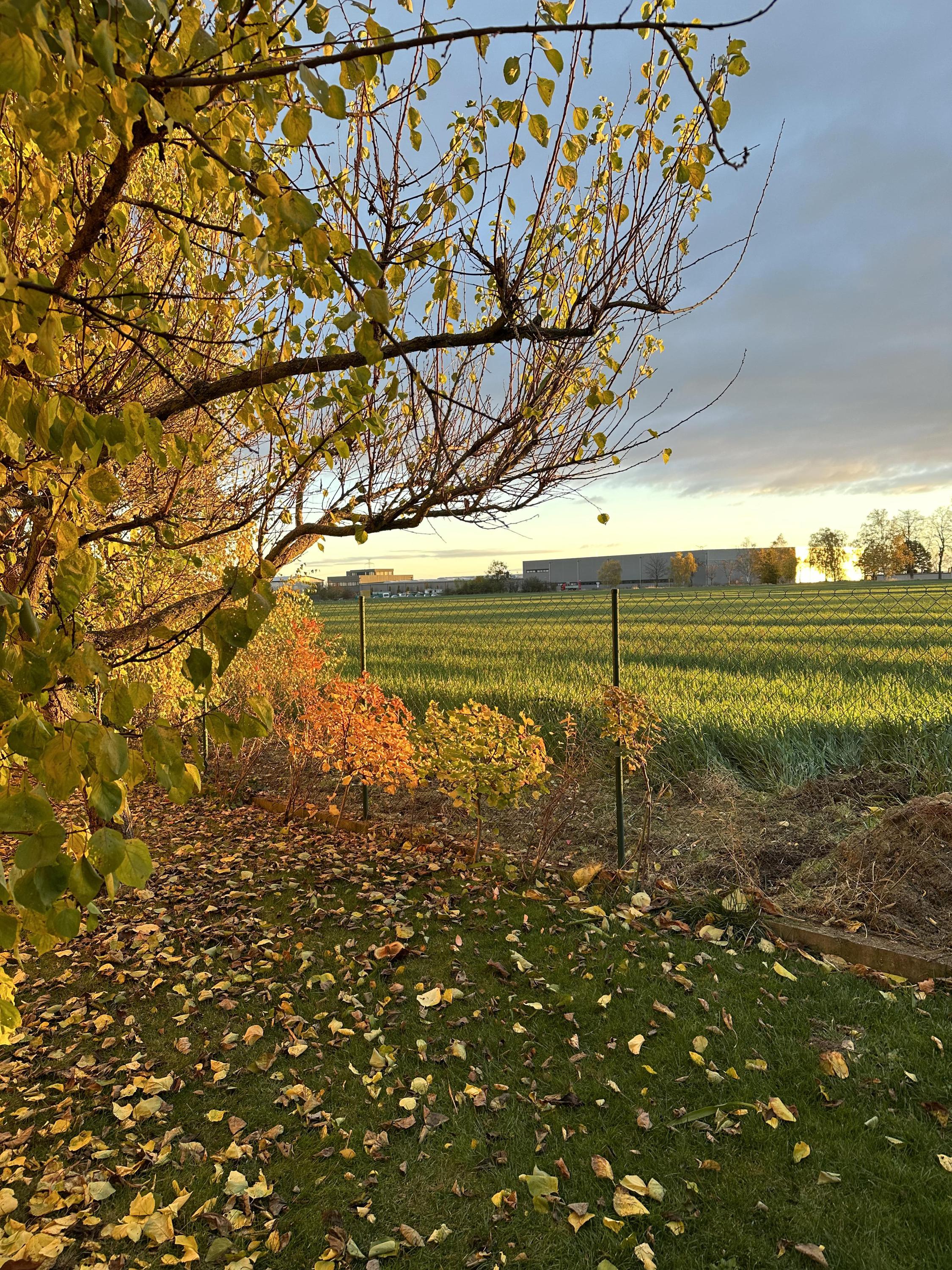 Josef Šebek - INTEBO foto 5