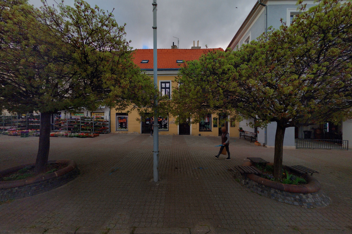 Lektor LTM - Ing. Simona Červená