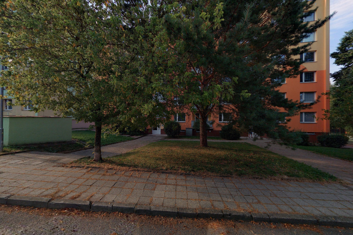 Společnost lékařů a zdravotníků v sociálních službách