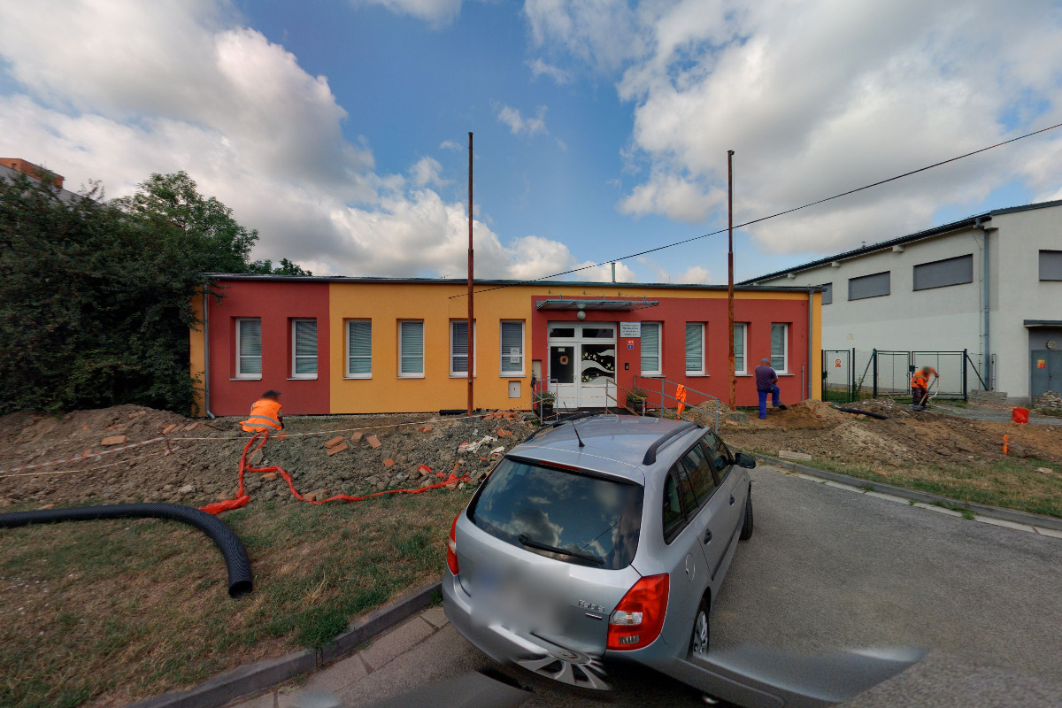 Věra Kosinová - Daneta, zařízení pro zdravotně postižené