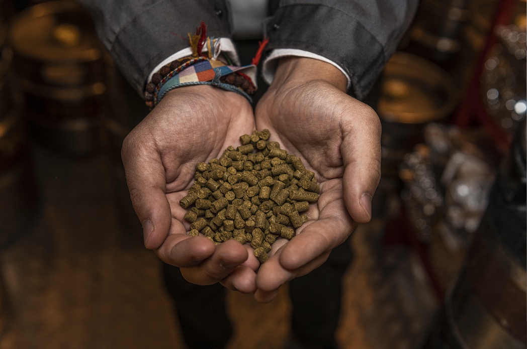 Řemeslný pivovar Rojc foto 4