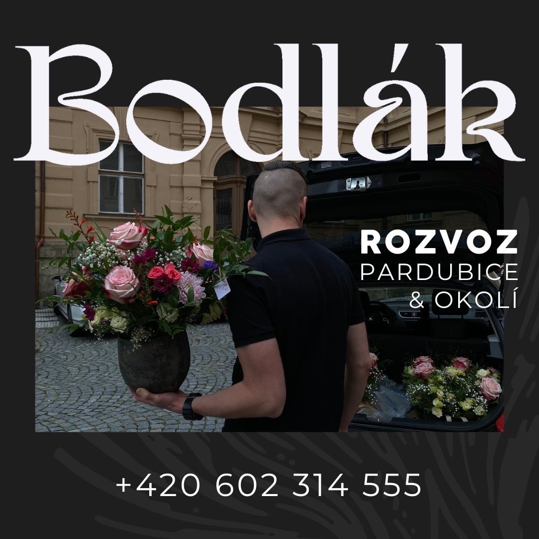 Bodlák foto 2