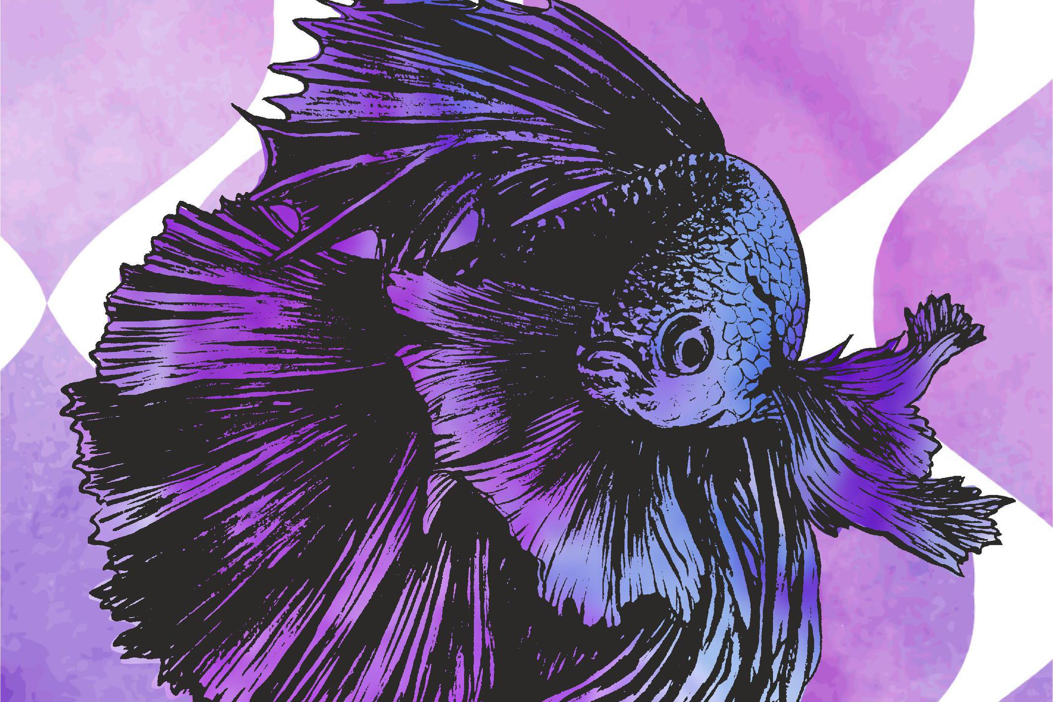 Grafický design Anna Fic