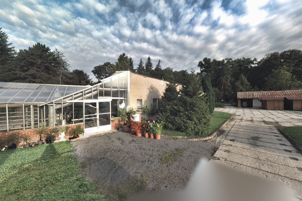 Skleníky městského parku Michalov foto 5