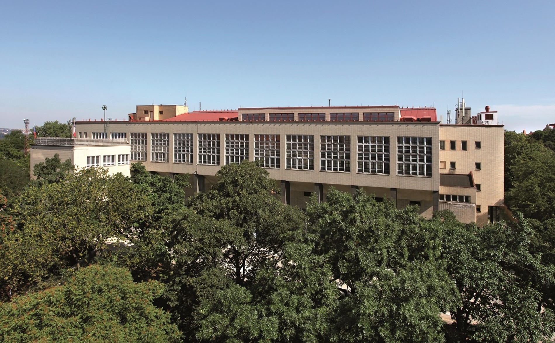 Malaveza - plavání dětí a miminek foto 4