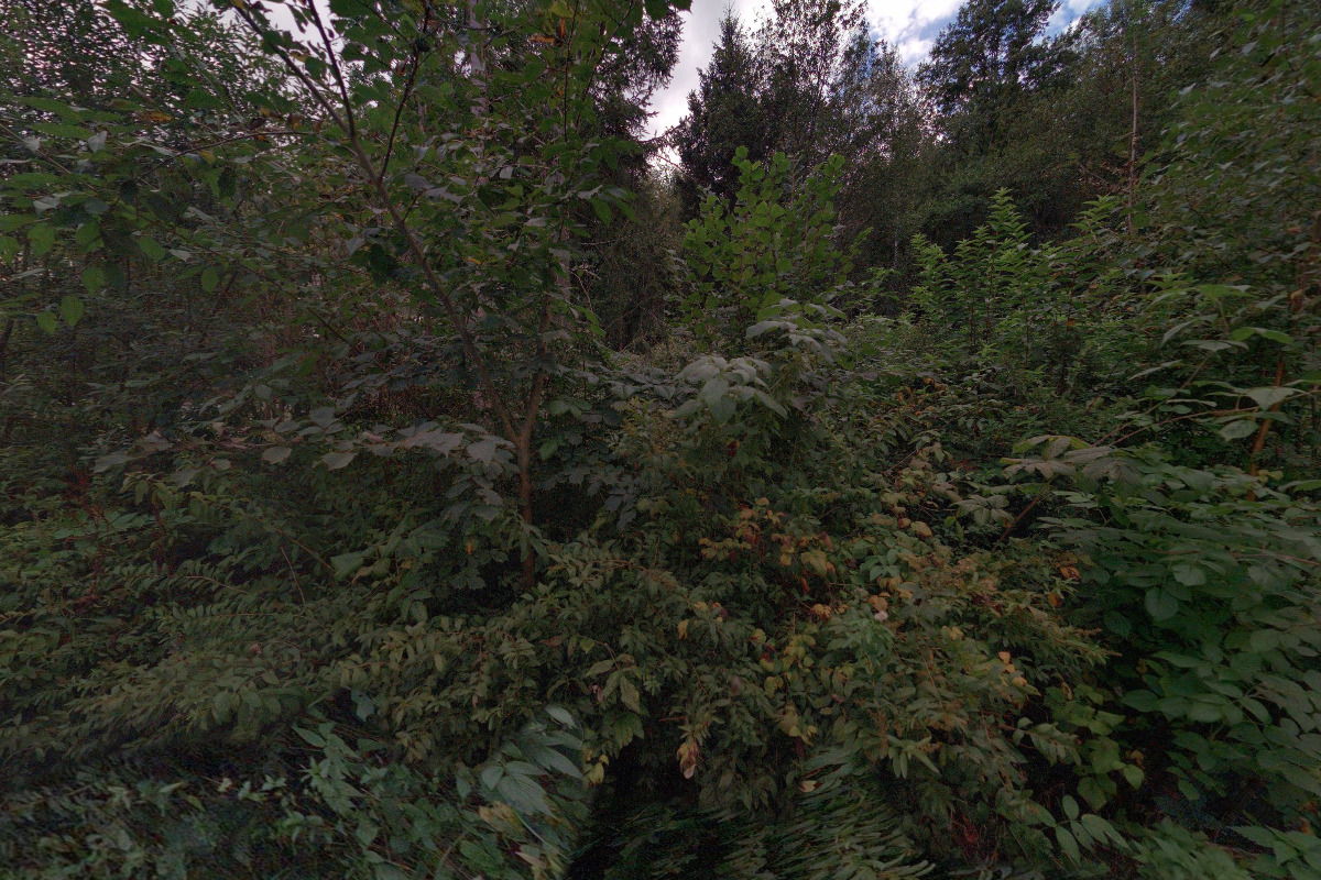 Chata Hobití Doupě