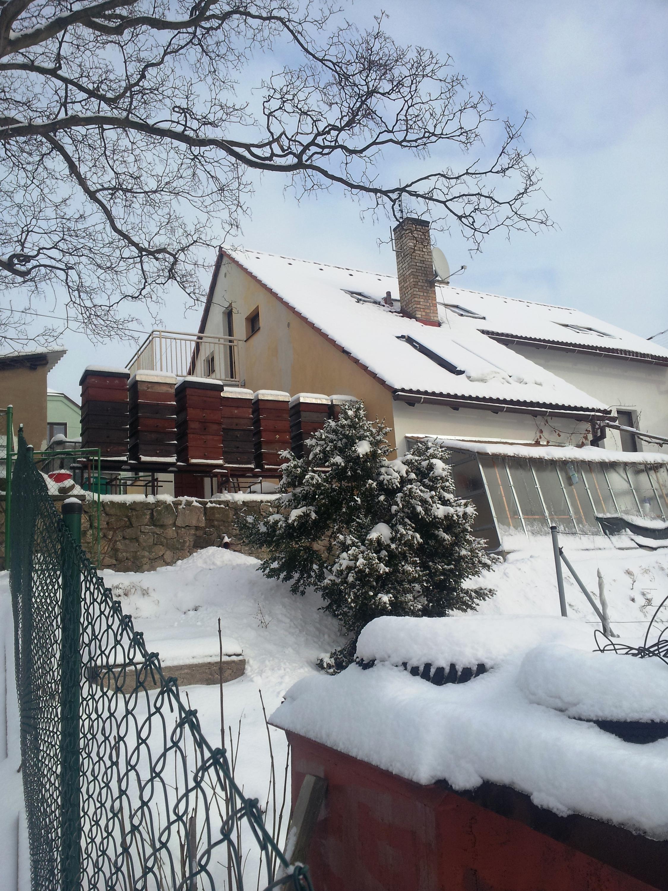 Prodej medu ze dvora foto 2