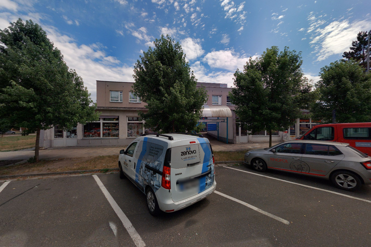 Vlasta Milerská foto 2