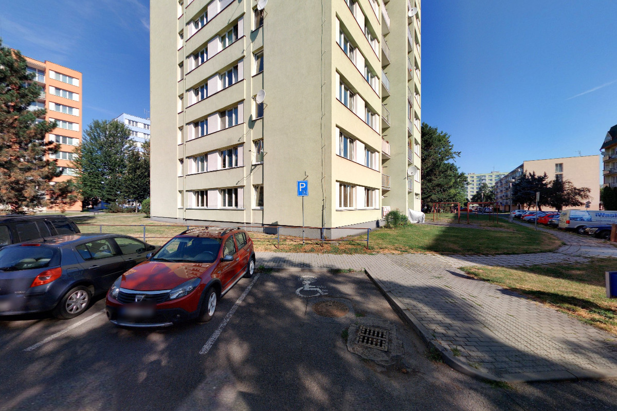 Pyro Růžička foto 3