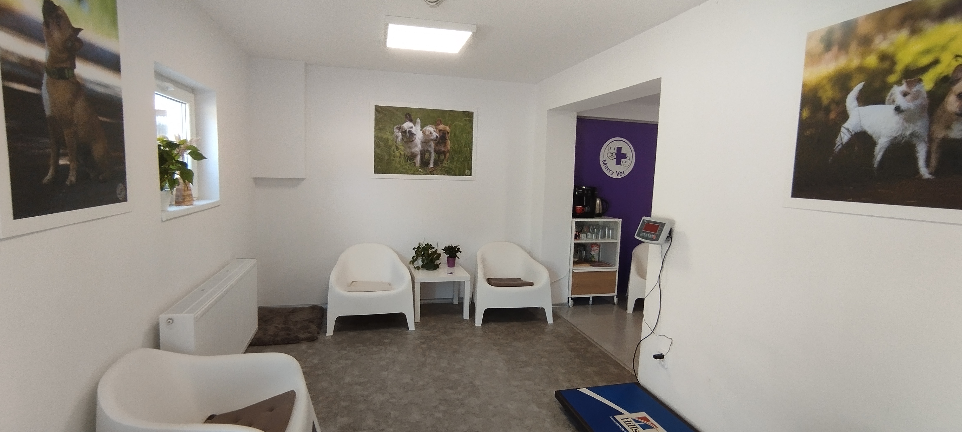 MerryVet foto 2
