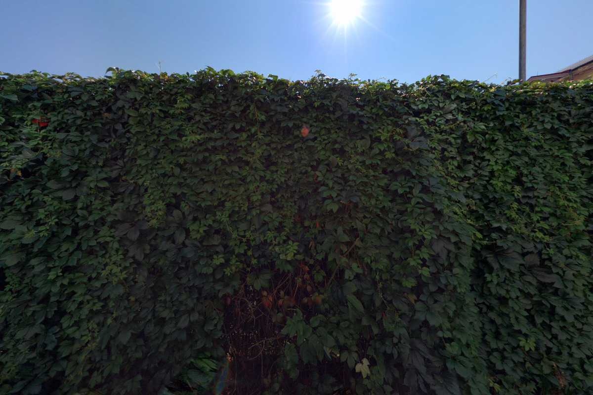 Krajský volejbalový svaz