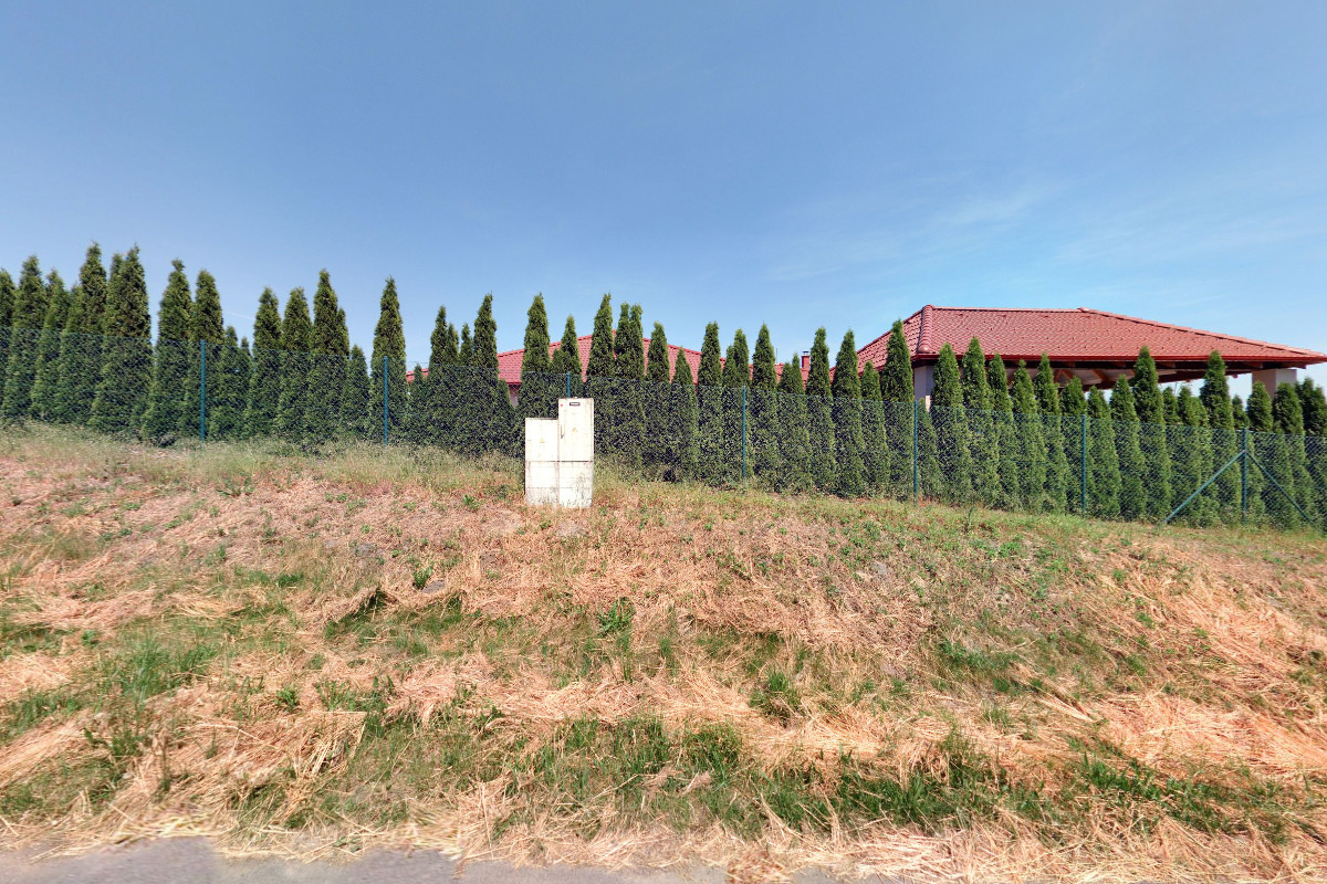 Tosa Inu Chovatelská stanice Aschabey foto 6