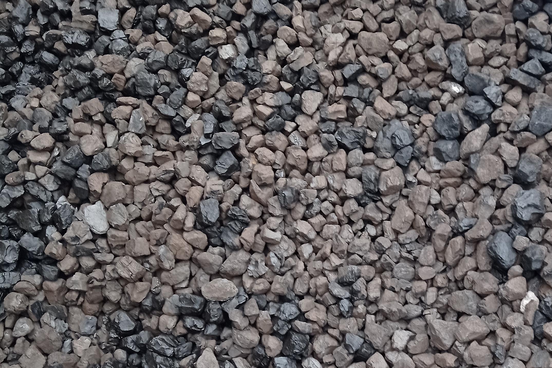 uhlí ořech Ledvice