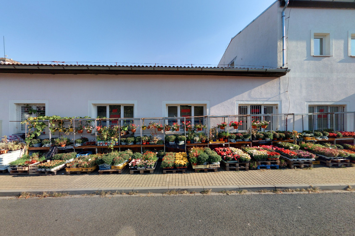 Večerka Svatopluka Čecha 182