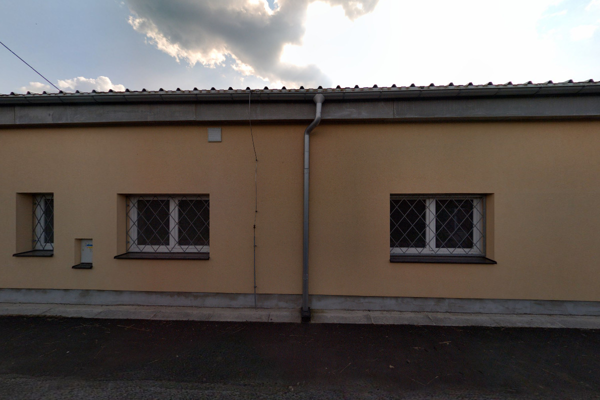 Renoplastic družstvo