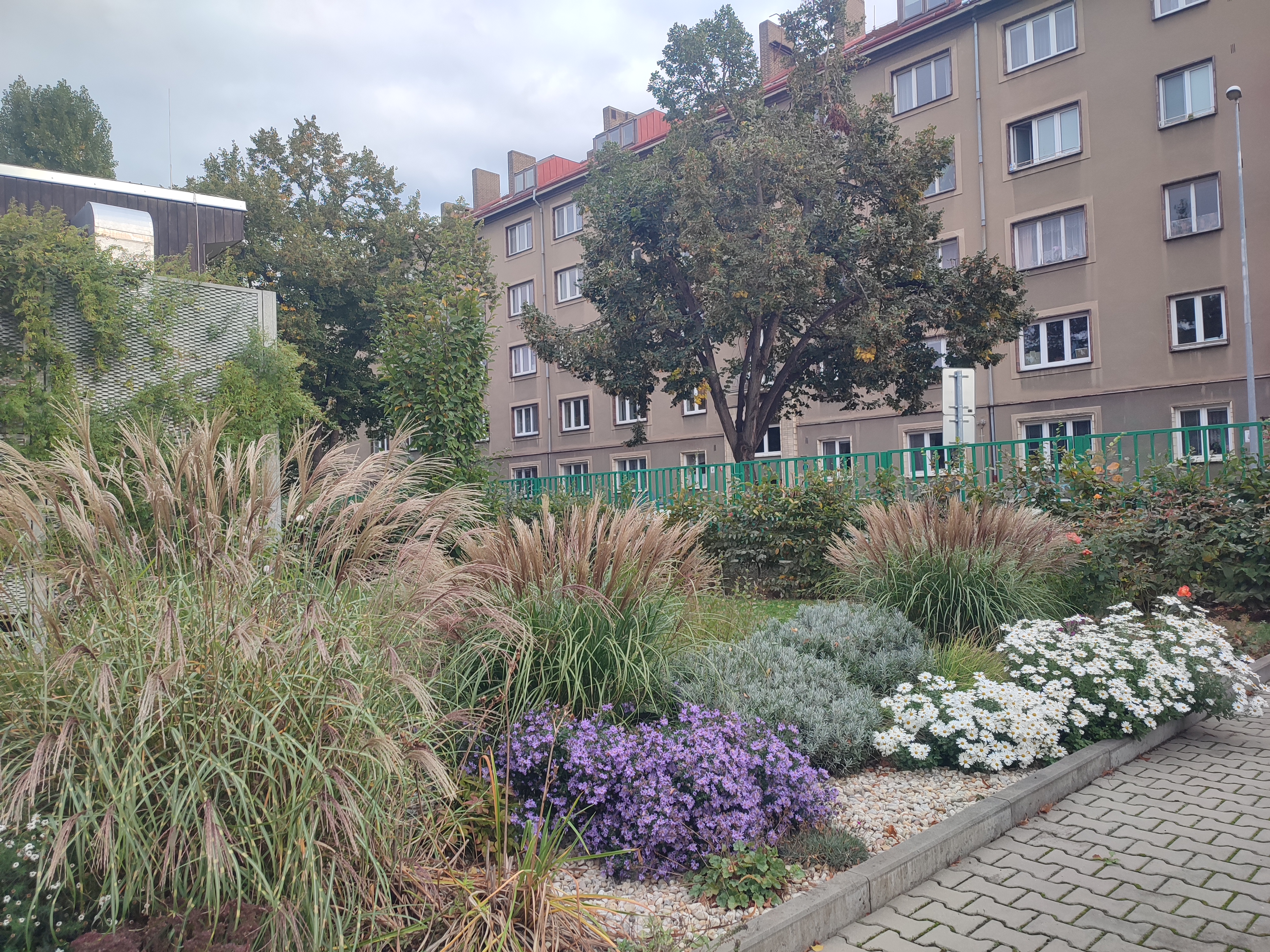 ZUŠ, Praha 10, Bajkalská 11 foto 3