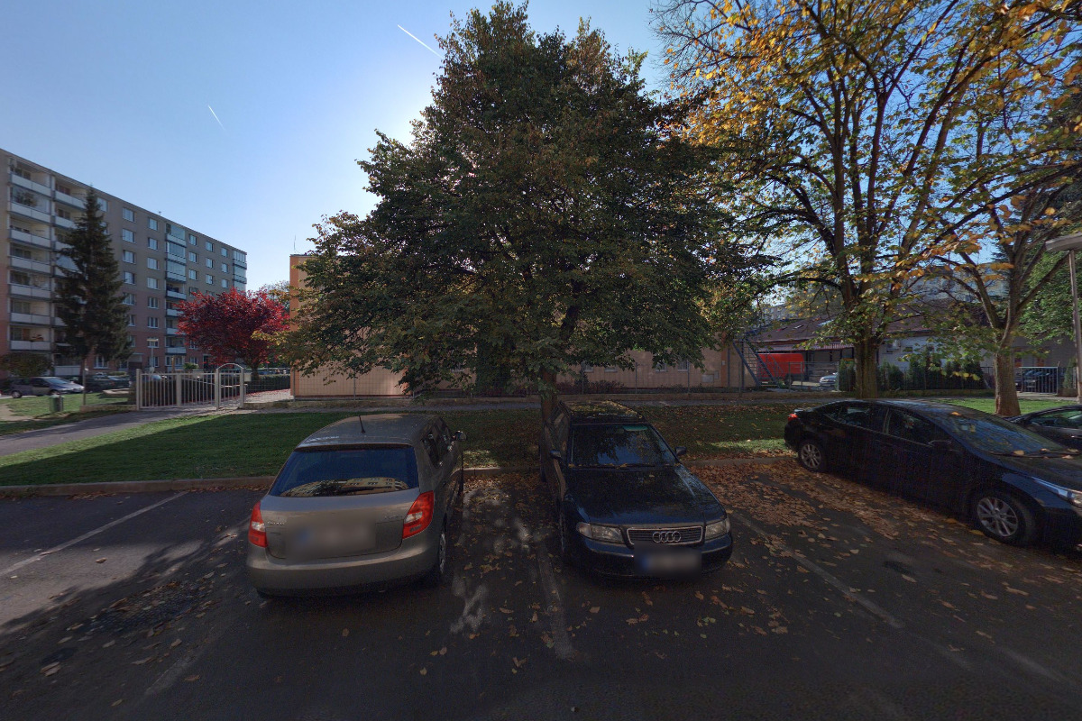 Náboženská společnost Svědkové Jehovovi