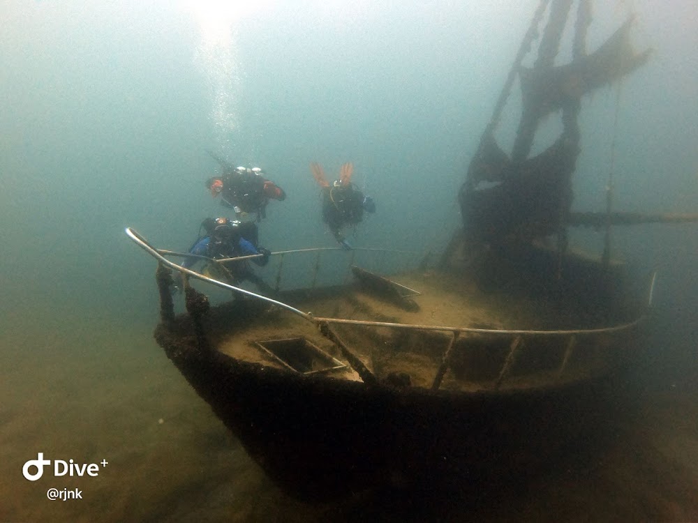 REJNOK DIVERS foto 4