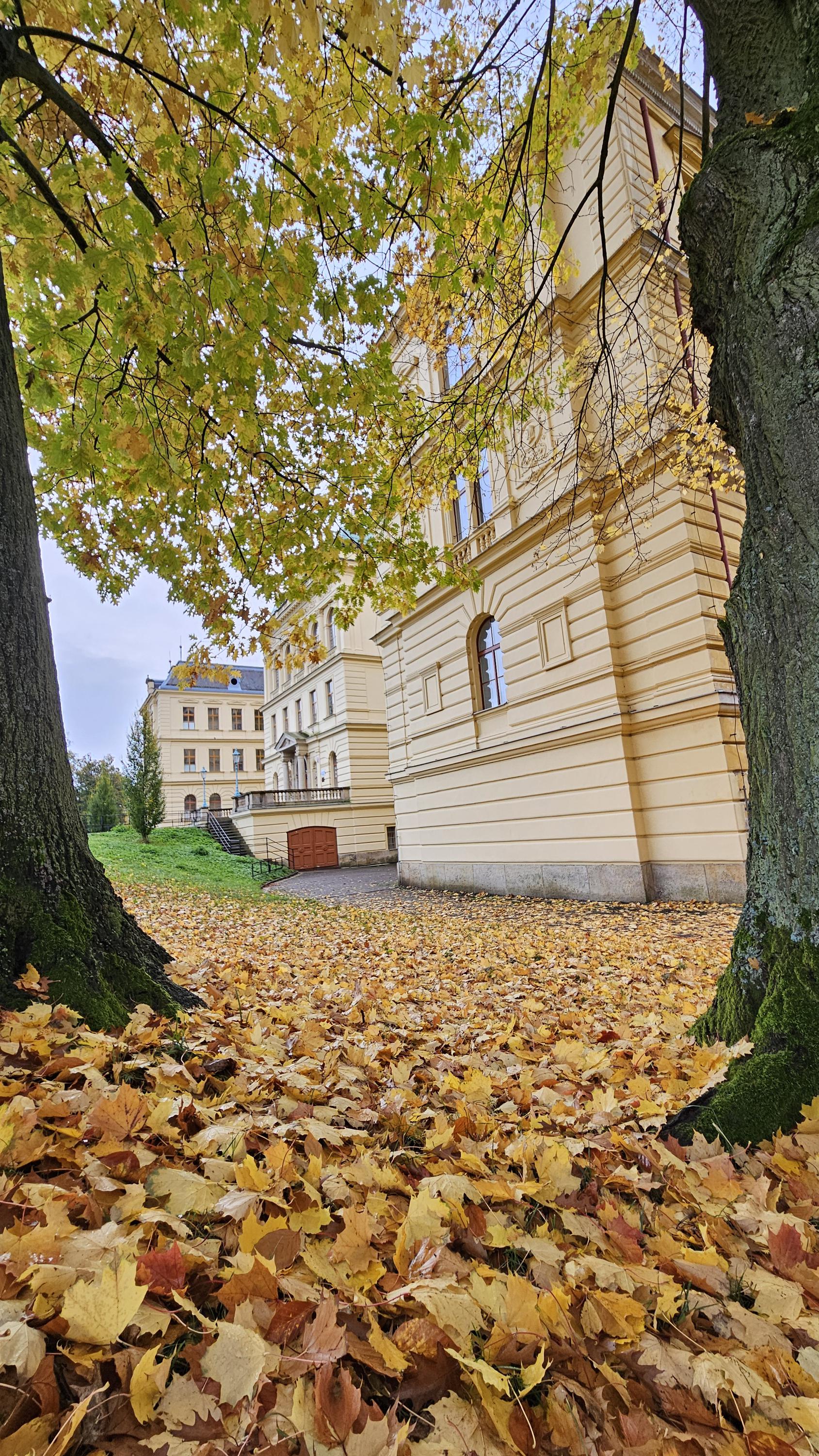 ZŠ Jaroměř, Na Ostrově foto 5
