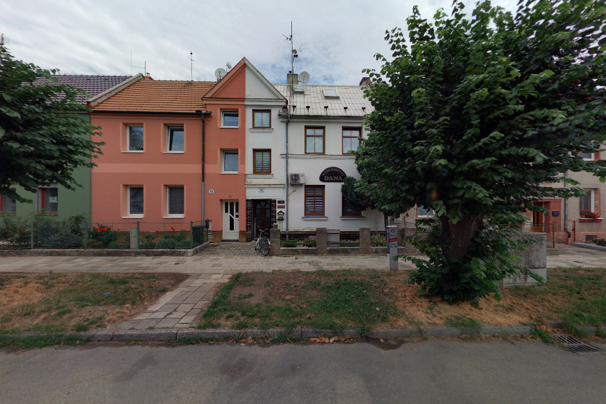 Dana Konečná foto 2