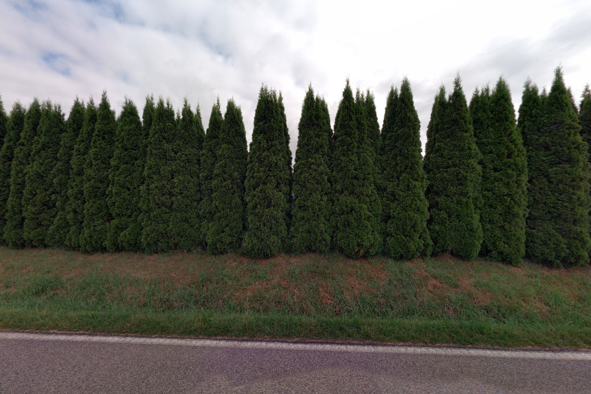 Minigolf - Sportovní centrum North Point