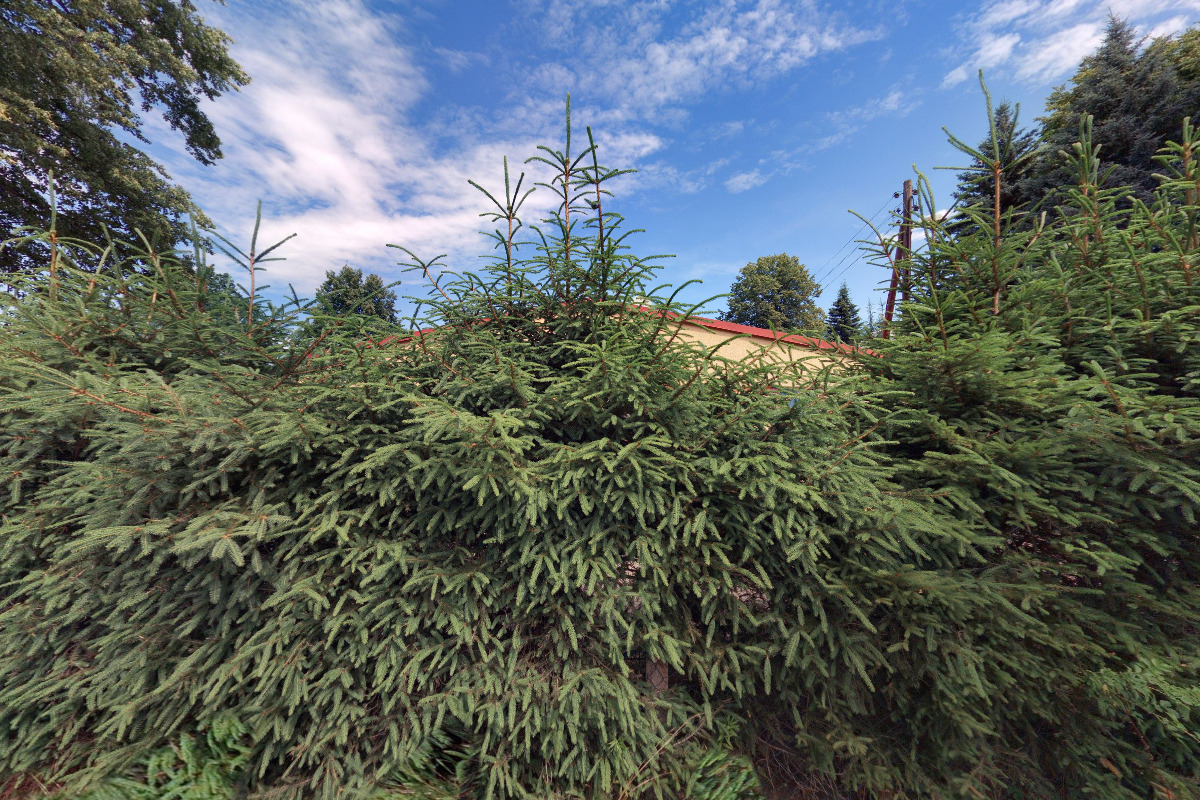 Turistická ubytovna Arnoltice