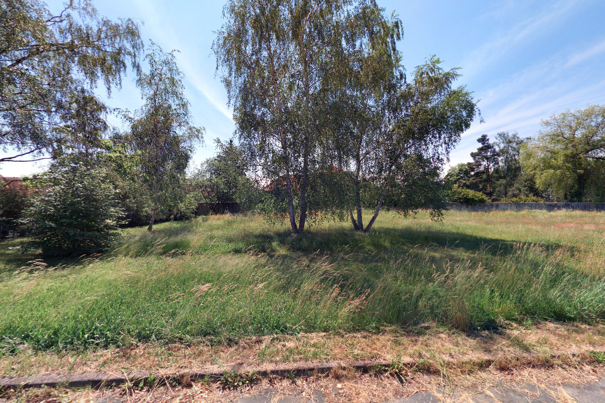 Tomáš Havránek- Rostlinné produkty foto 2