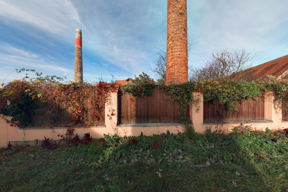 Divoké Jablko foto 3