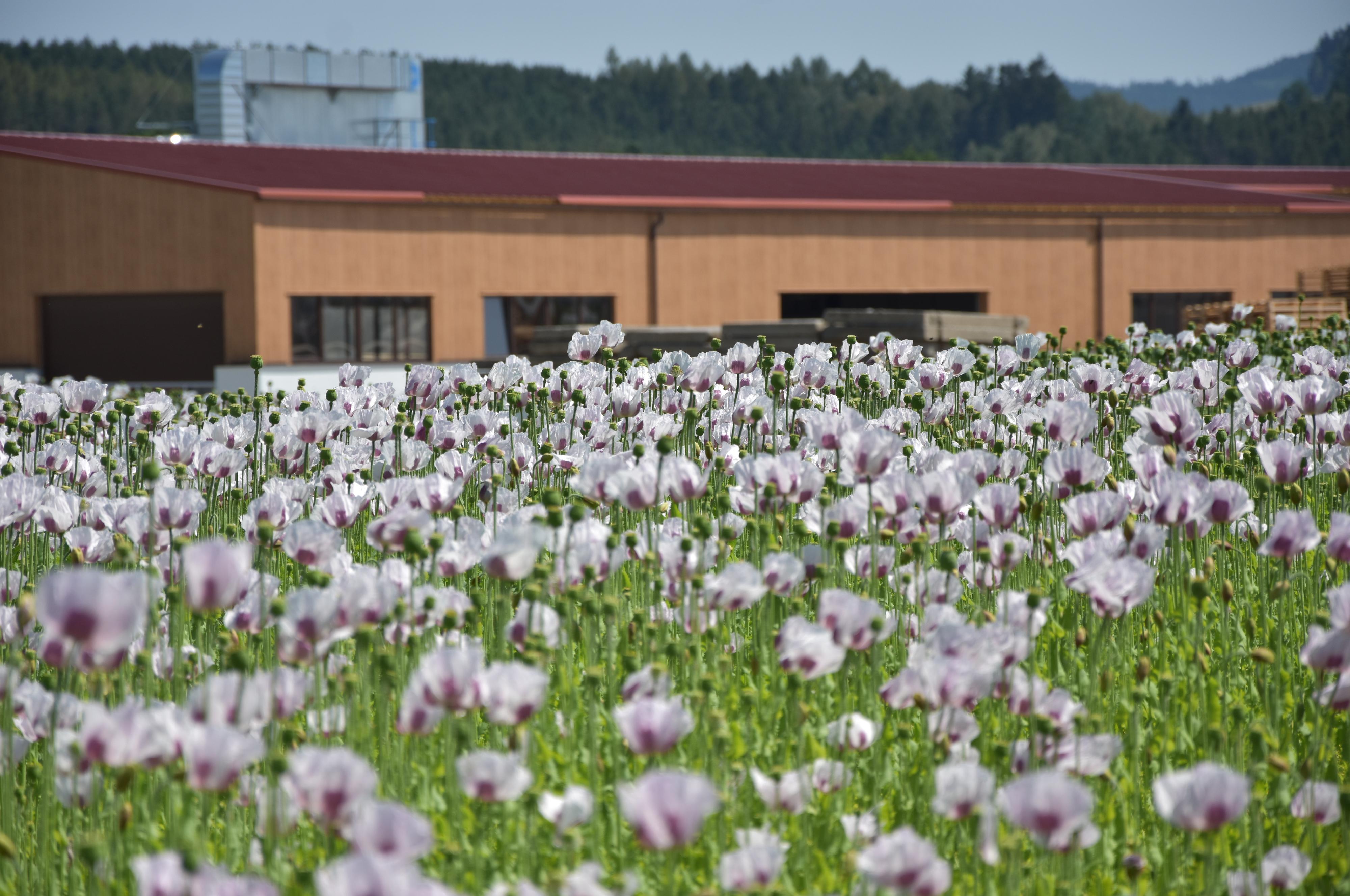 VELIMPEX s.r.o. Dřevovýroba, s.r.o.