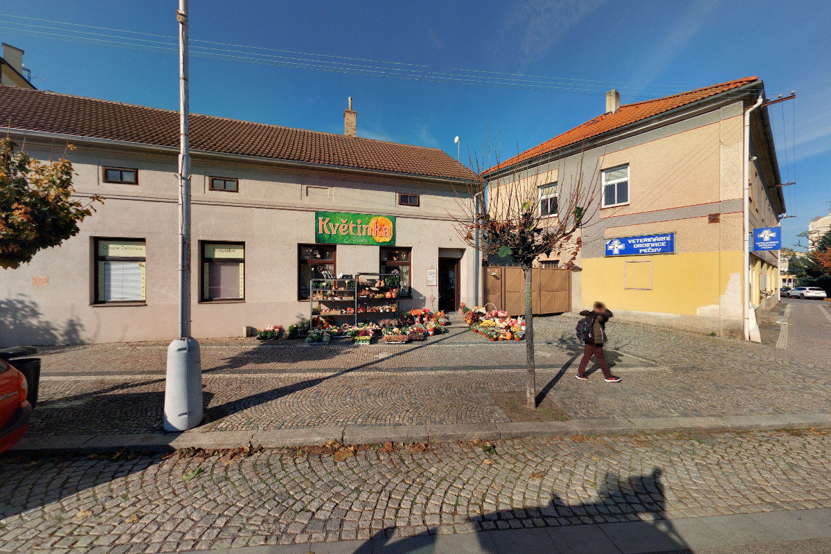 Květinka Míša foto 2