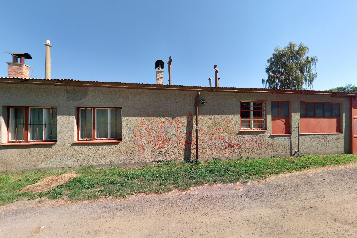 Stříhání psů - Jaroslava Sobotková foto 2