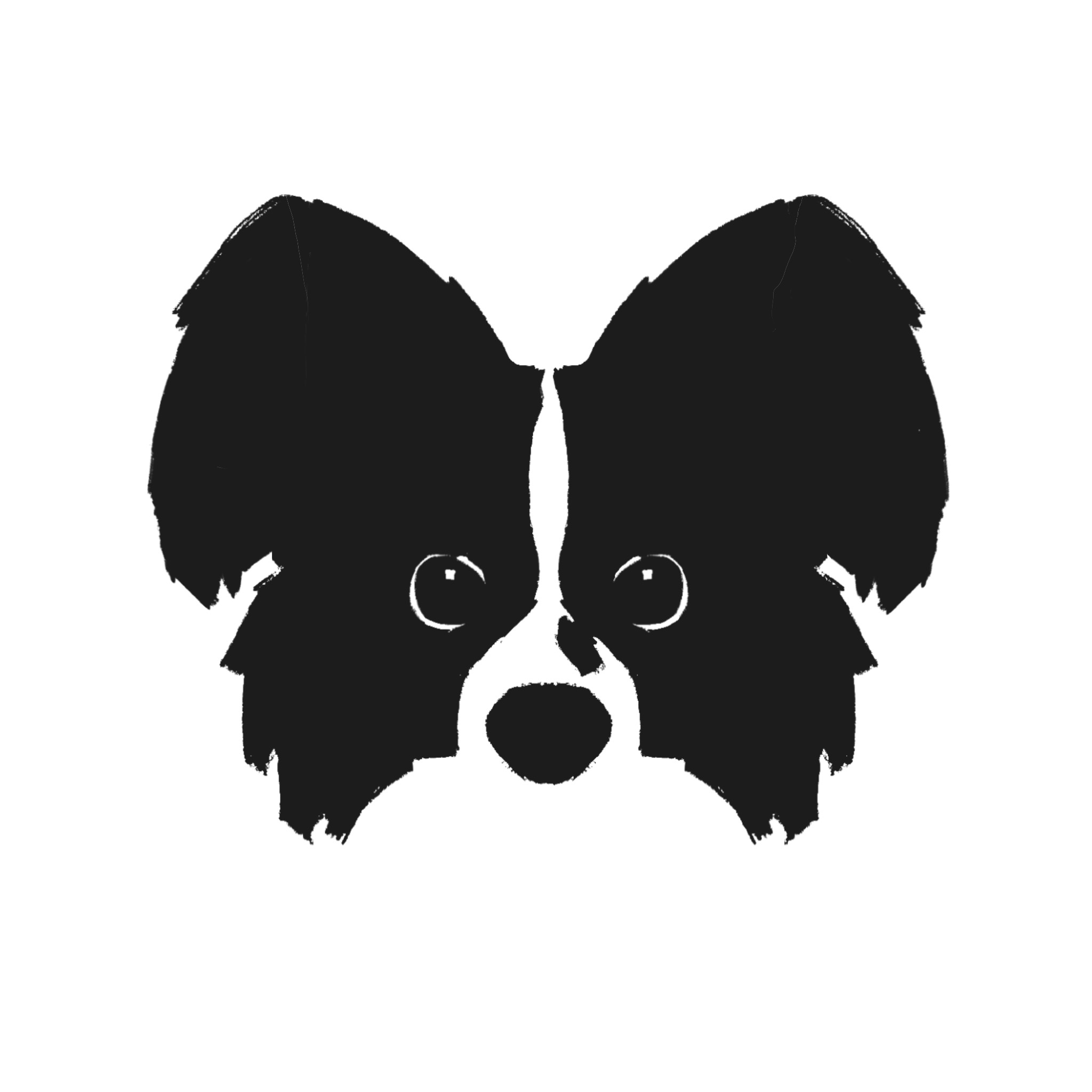 Lucka jede - veterinární výjezdovka foto 2