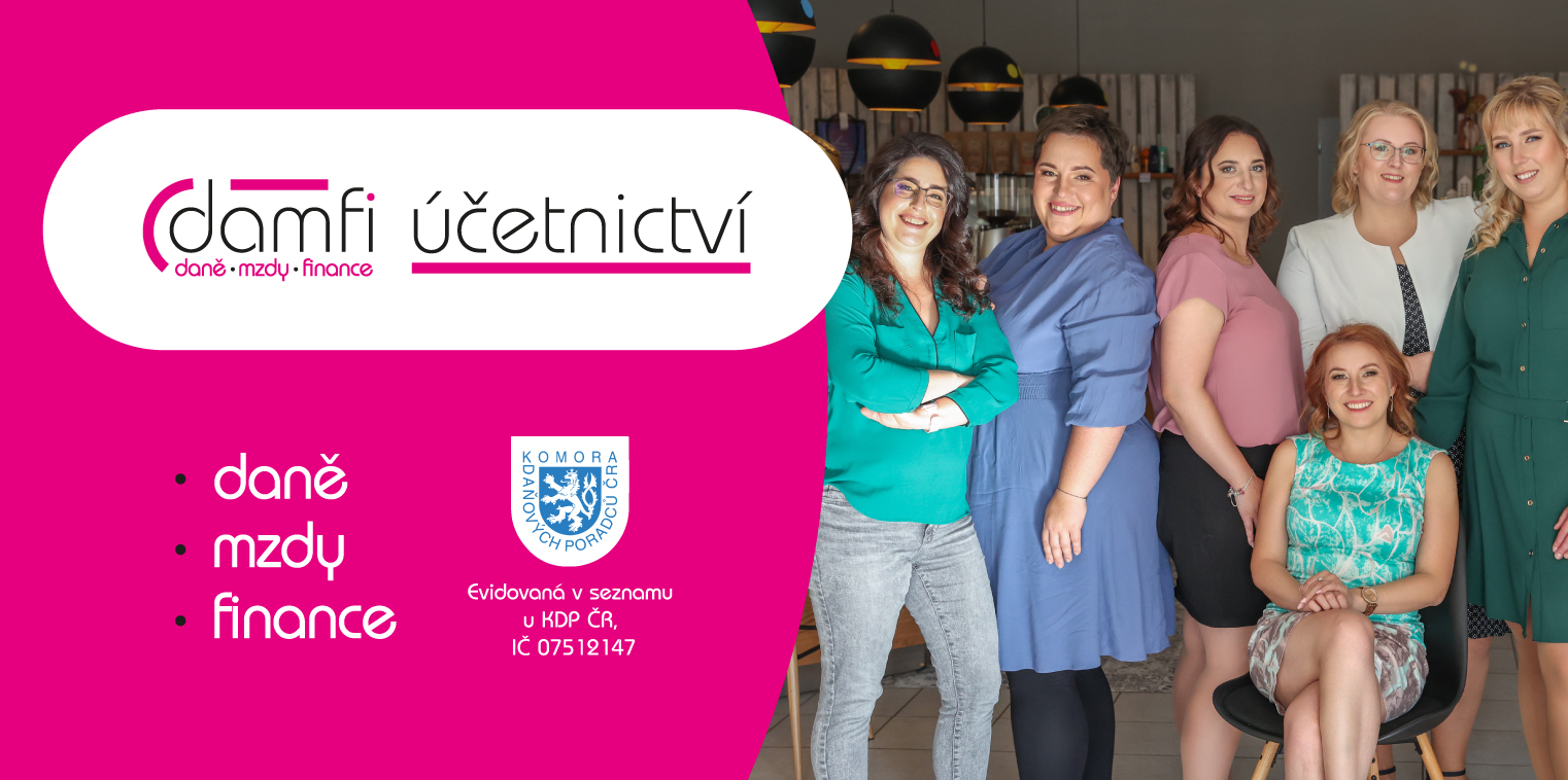 DAMFI - daně, mzdy, finance foto 1
