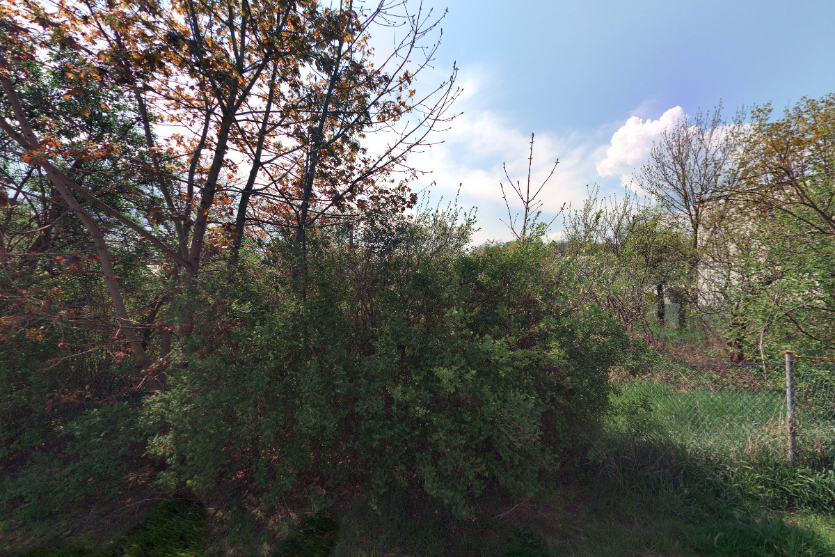 Český svaz včelařů, z.s., základní organizace Hradec Králové