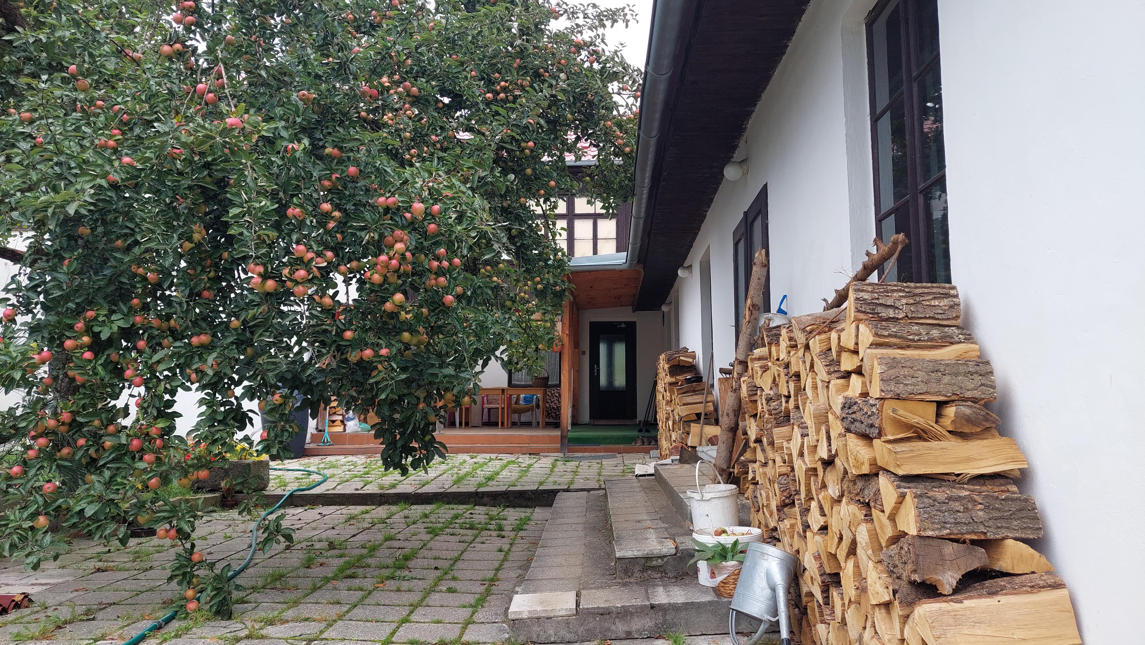 Ubytování Dolejší Krušec foto 2