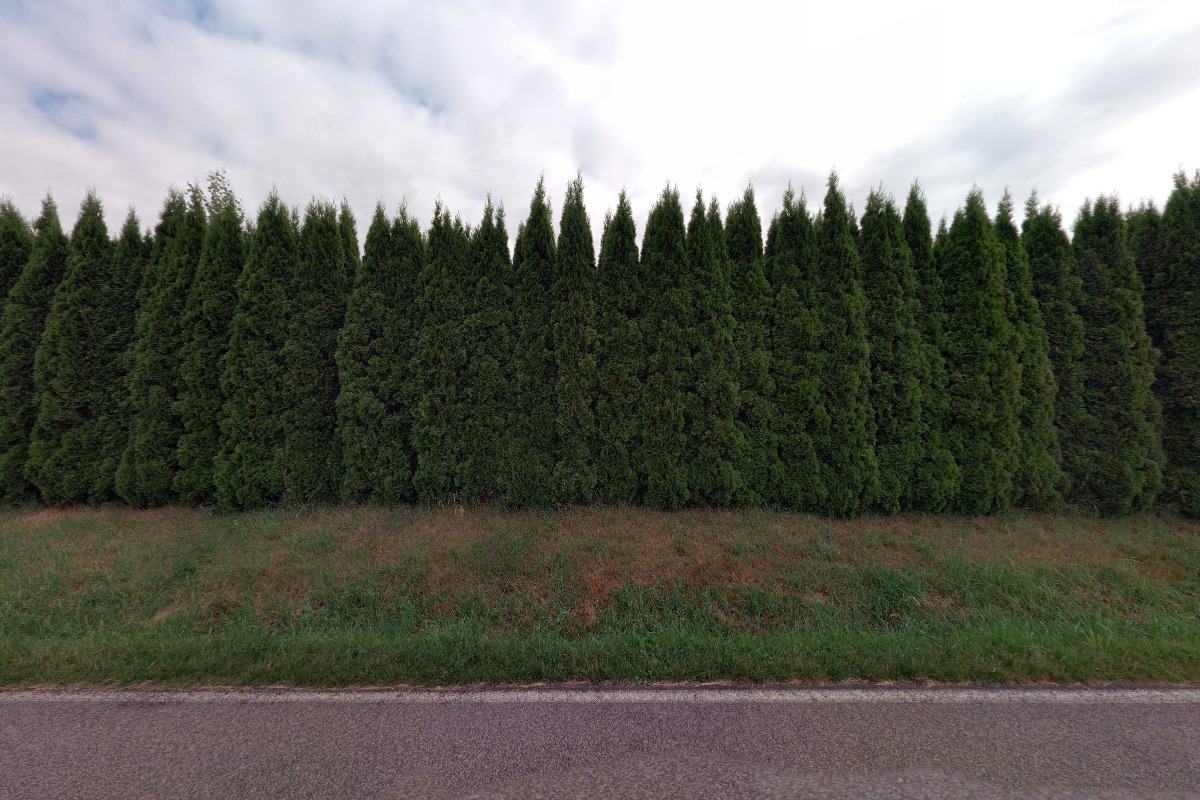 Tenis North Point foto 1