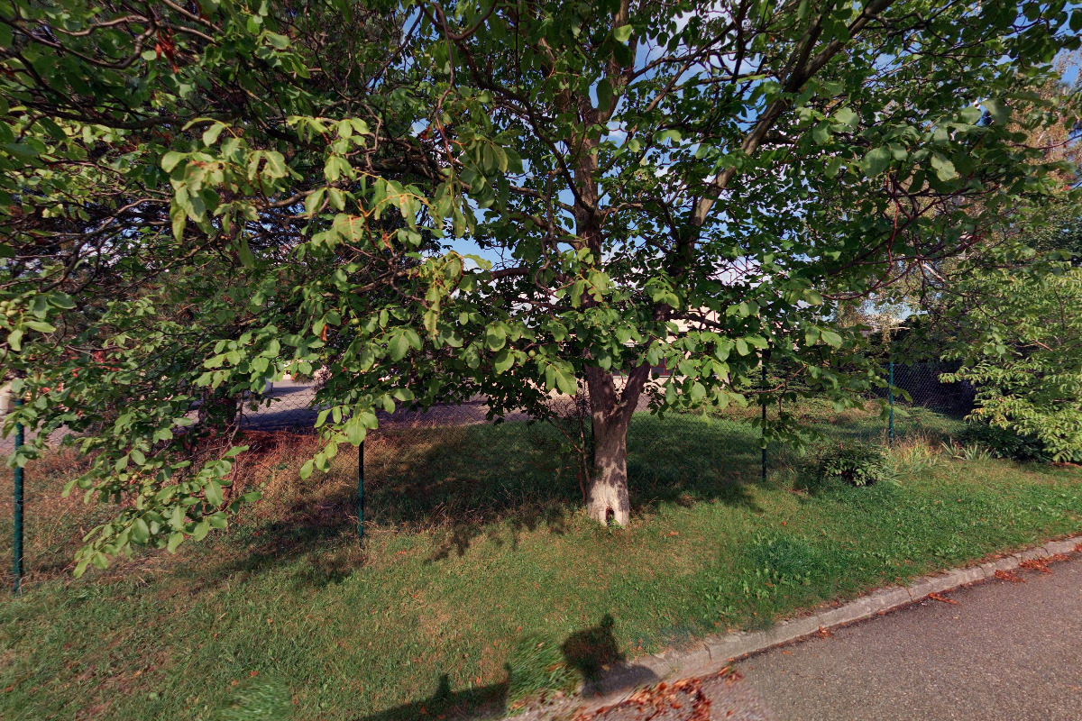 Kamil Vošlajer foto 2