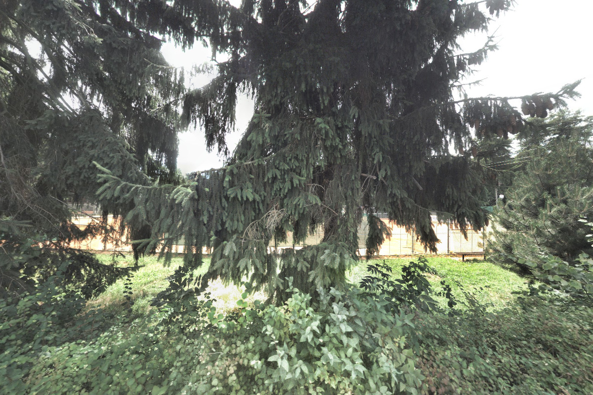 TJ Lokomotiva Nymburk