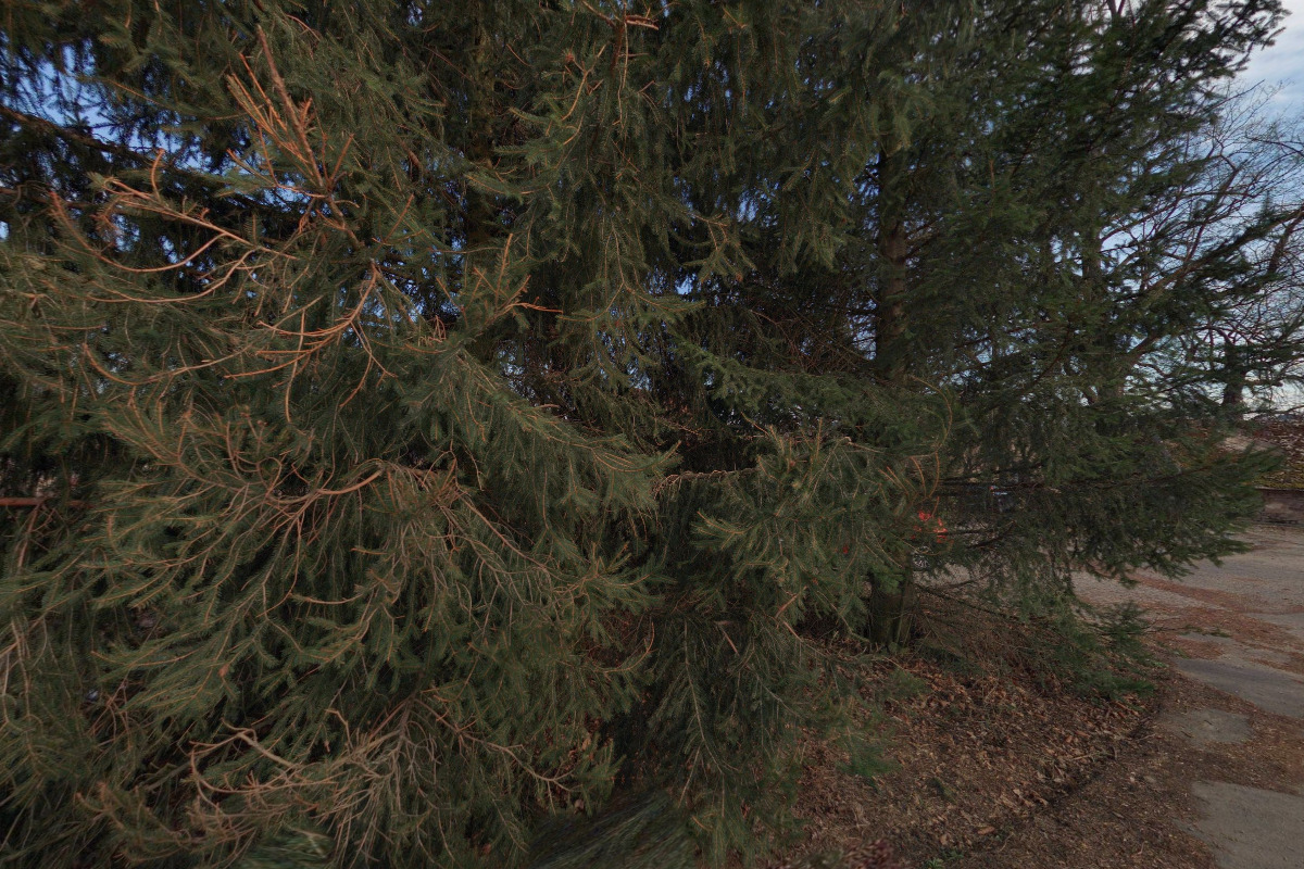 Chalupa Samota Sturpik